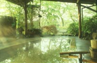 �ݐؒ뉀�I�V���C�u�ꗢ�̓��v